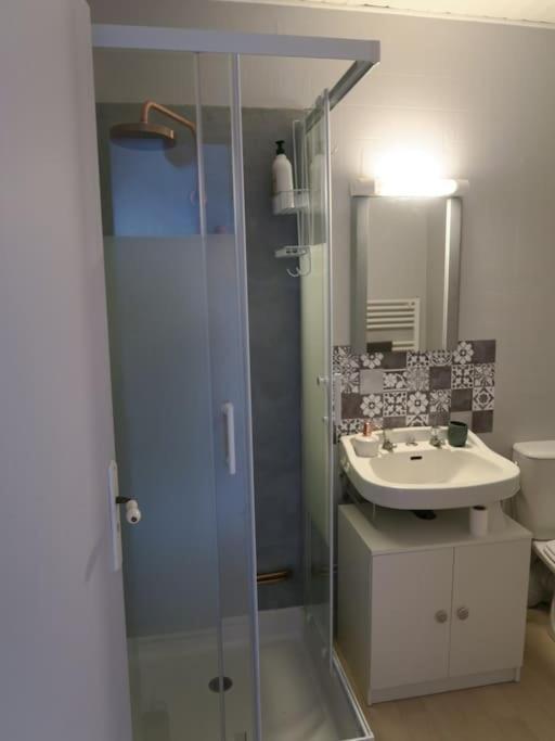 Appartement Des Hirondelles , Au Pied Du Chateau Chinon Buitenkant foto